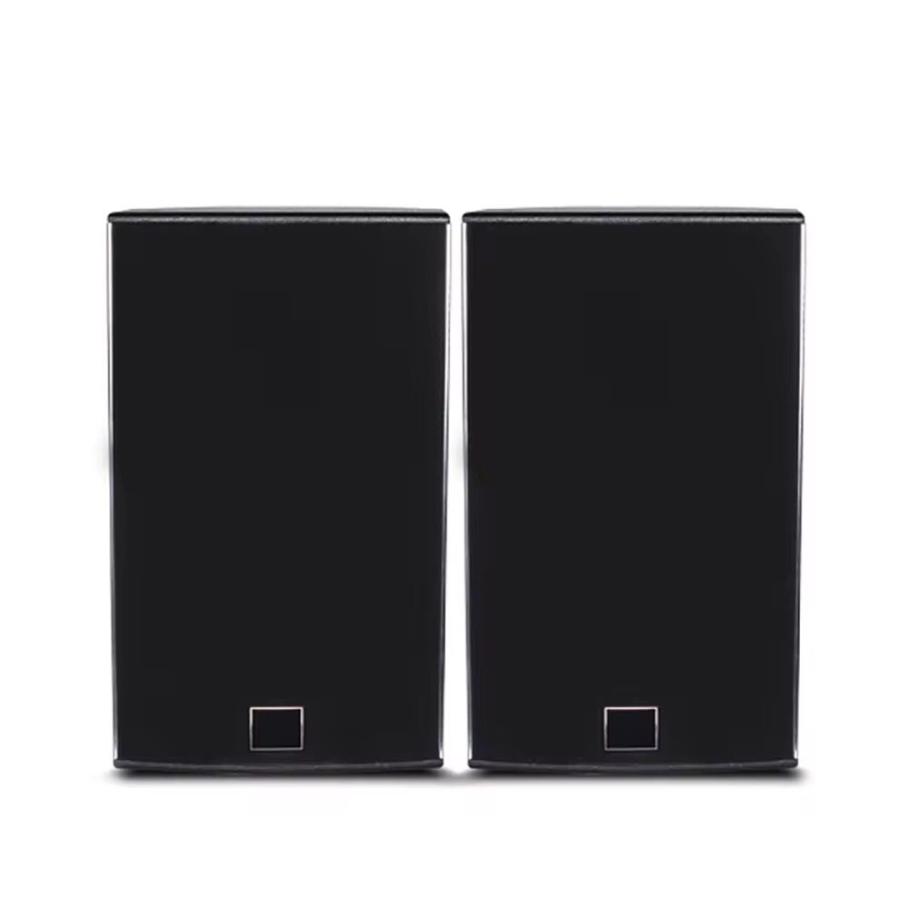 Biner DS12 Haut-Parleur de système audio professionnel de haute qualité 12 pouces 350W