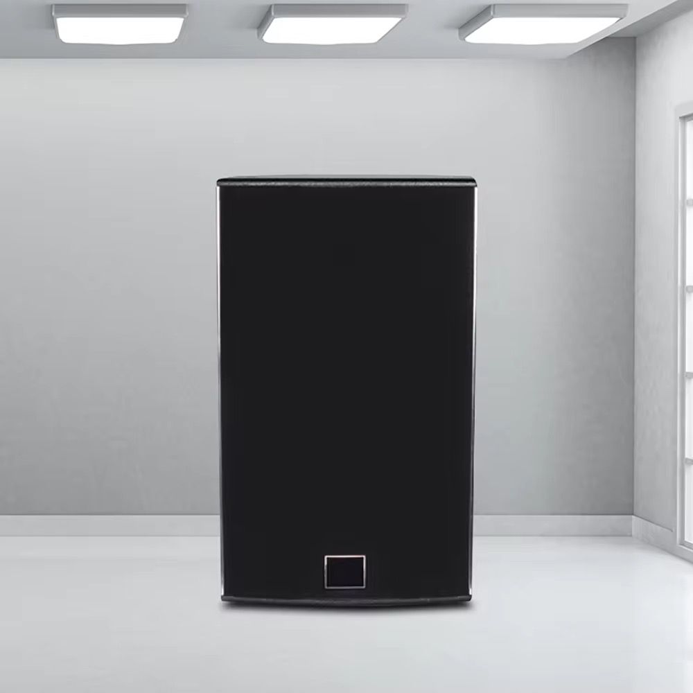 Biner DS12 Haut-Parleur de système audio professionnel de haute qualité 12 pouces 350W