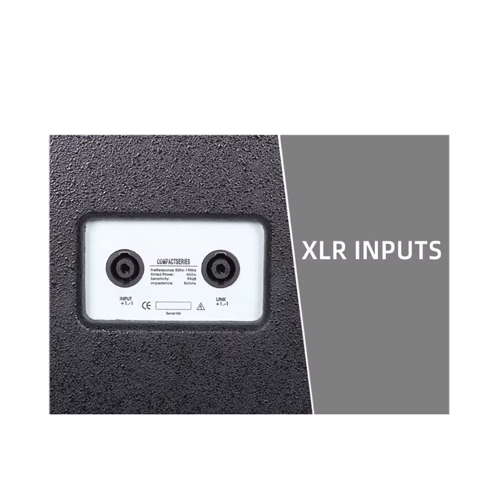 Biner DS12 Haut-Parleur de système audio professionnel de haute qualité 12 pouces 350W